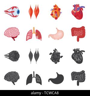 Globe oculaire,sang,musculaire,coeur,cerveau Poumon Estomac,,oeil,organes,plasma,cardiologie,esprit,,trachée,tube,tissu,cornée,cell,,cardiovasculaire,renseignement,pulmonaire intestin gastrique,couches,capot,body,science,douleur,l'artère gastro-intestinaux,structure,biologie,scientifique,recherche,laboratoire,anatomie,organe interne,,médical,des,santé,,set,icône,illustration,isolé,collection,design,élément,graphique,signe,vecteurs vecteur , Illustration de Vecteur