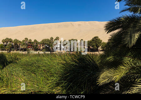 L'oasis de Huacachina, entouré de palmiers, le Pérou, Amérique du Sud Banque D'Images