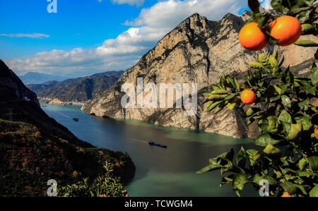 L'orange et orange rouge reflète la Xiaojiang River. Chaque fin d'automne et d'hiver, les oranges des Xilingxia des Trois Gorges sont jaunes et les oranges sont en rouge, faisant de la majestueuse rivière Xiaojiang particulièrement belle. Banque D'Images