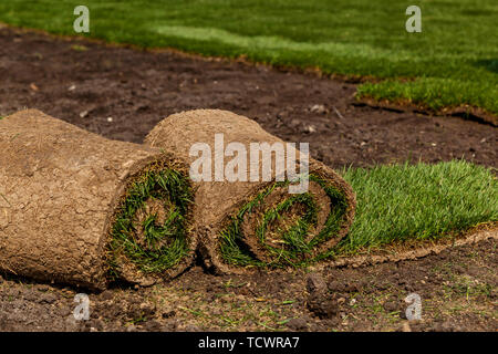 L'herbe verte en rouleau à pelouse et concepteur du paysage. Le cumul de l'herbe à gazon vert rouleau Banque D'Images