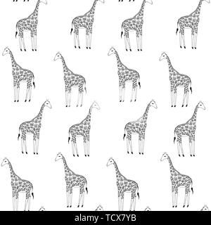 Vector seamless background des girafes. Illustration à la main. Image animaux. Illustration de Vecteur