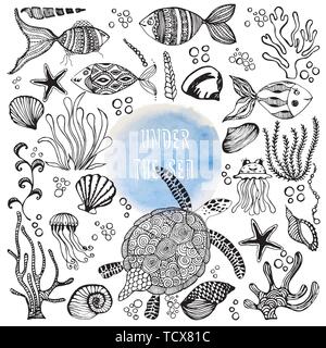 Ensemble d'habitants de la mer à la main. Funny cartoon poissons, méduses, étoiles de mer, d'algues, de coquillages et de tortue. Vector illustration. Illustration de Vecteur