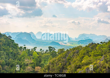 Vue panoramique de la forêt tropicale à Krabi en Thaïlande Banque D'Images