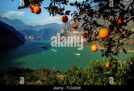 L'orange et orange rouge reflète la Xiaojiang River. Chaque fin d'automne et d'hiver, les oranges des Xilingxia des Trois Gorges sont jaunes et les oranges sont en rouge, faisant de la majestueuse rivière Xiaojiang particulièrement belle. Banque D'Images