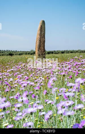 Le Holiday Home mégalithique do Outeiro standing stone dans un pré de fleurs sauvages, Monsaraz, Alentejo, Portugal, Europe Banque D'Images