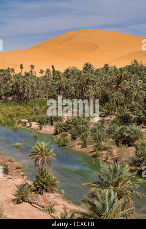 Vue sur l'Oasis de Taghit, ouest de l'Algérie, l'Afrique du Nord, Afrique Banque D'Images