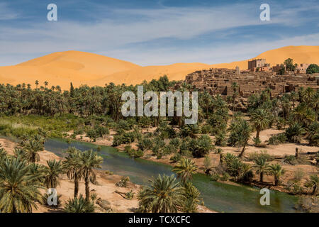 Vue sur l'Oasis de Taghit, ouest de l'Algérie, l'Afrique du Nord, Afrique Banque D'Images
