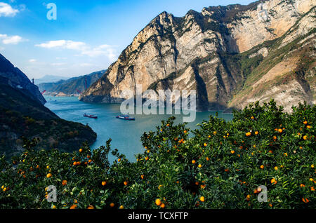 L'orange et orange rouge reflète la Xiaojiang River. Chaque fin d'automne et d'hiver, les oranges des Xilingxia des Trois Gorges sont jaunes et les oranges sont en rouge, faisant de la majestueuse rivière Xiaojiang particulièrement belle. Banque D'Images
