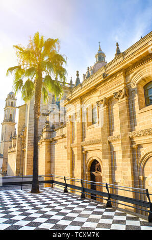 Cathédrale étonnante à Jerez de la Frontera en Andalousie, Espagne photographié avec un seul palmier dans un coucher du soleil la lumière. Destination touristique populaire. Vibes d'été vacances d'été, concept. Banque D'Images