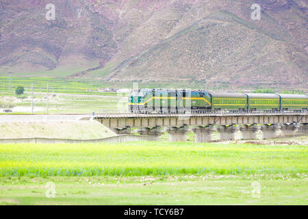 En été, un train de voyageurs sur la ligne Qinghai-Tibet fonctionne sur un pont de chemin de fer dans la vallée de la rivière Banque D'Images