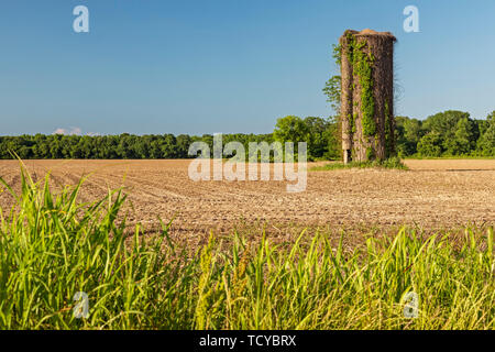 Lorman, Mississippi - un vieux silo dans un champ fraîchement labouré farm. Banque D'Images