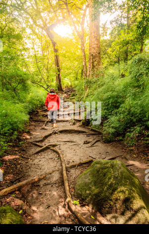 Femme sur un sentier de randonnée en parc national de Rincon de la Vieja au Costa Rica Banque D'Images