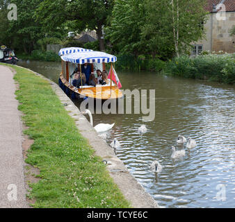Les cygnes sur le Kennet and Avon Canal au Bath Somerset England UK Banque D'Images