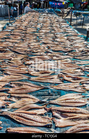 Mandalay, MYANMAR - le 14 décembre 2016 : le séchage du poisson à la plage de Ngapali Etat de Rakhine au Myanmar (Birmanie) Banque D'Images