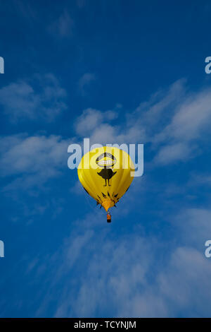 Gros Oiseau Noir Balloon Banque D'Images