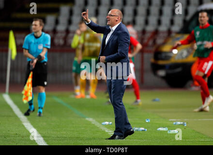 Belgrade, Serbie. 10 Juin, 2019. L'entraîneur-chef de la Lituanie Valdas Urbonas Championnat d'Europe 2020 gestes au cours de tour de qualification match de football entre la Serbie et la Lituanie à Belgrade, en Serbie, le 10 juin 2019. La Serbie a gagné 4-1. Credit : Predrag Milosavljevic/Xinhua/Alamy Live News Banque D'Images