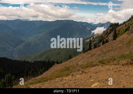 Le vaste panorama qu'est le Parc National Olympique, USA, d'Hurricane Ridge sentier de personne dans l'image Banque D'Images