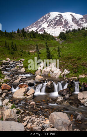 Une montagne de neige, le Mont Rainier au printemps avec un champ de fleurs sauvages en premier plan et un ruisseau sur les roches en cascade, une longue exposition à lisser l'eau, personne à l'image Banque D'Images