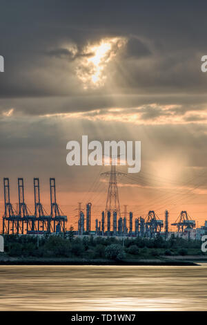 Rive avec des silhouettes de grues d'un terminal à conteneurs au cours d'une couleur orange coucher de soleil, Port d'Anvers, Belgique. Banque D'Images