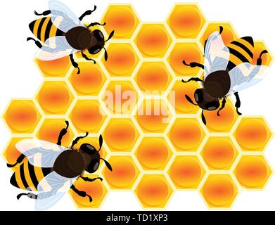 Miel Abeille sur l'icône de la cellule. Caricature de Miel Abeille sur l'icône vecteur cellulaire pour la conception web isolé sur fond blanc Illustration de Vecteur