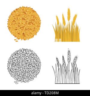 Graines,printemps,Culture,spike,orge, pain, céréales,terrain,blé,campagne,,or,automne,rural,mûrs,avoine seigle,agriculture,agriculture,plant de blé,maïs,grain,récolte,ferme,,champ,set,icône,,illustration,collection,isolé,design,graphisme,élément,signe, vecteurs vecteur , Illustration de Vecteur