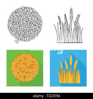 Graines,printemps,Culture,spike,orge, pain, céréales,terrain,blé,campagne,,or,automne,rural,mûrs,avoine seigle,agriculture,agriculture,plant de blé,maïs,grain,récolte,ferme,,champ,set,icône,,illustration,collection,isolé,design,graphisme,élément,signe, vecteurs vecteur , Illustration de Vecteur