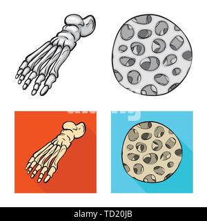 Fibre,pieds,sain,cheville,scientifique,la podologie,avant-pied,muscle épithélium,DE,panneaux,épiderme,les pieds plats,mouvement,tendon,cell,tissu,dommage,structure,médecine,clinique,biologie,médical,os,,squelette anatomie,des,organes,,set,icône,,illustration,collection,isolé,design,graphisme,élément,signe, vecteurs vecteur , Illustration de Vecteur