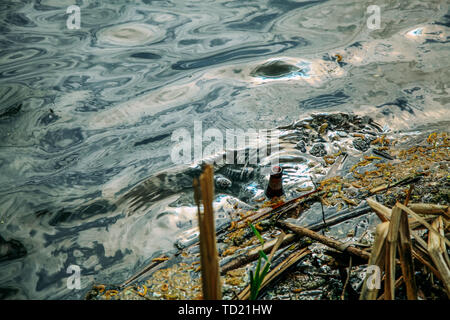 Une bouteille en verre vide flotte sur une rivière boueuse. Banque D'Images