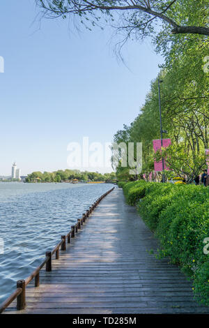 Parc de la ville, le lac Banque D'Images