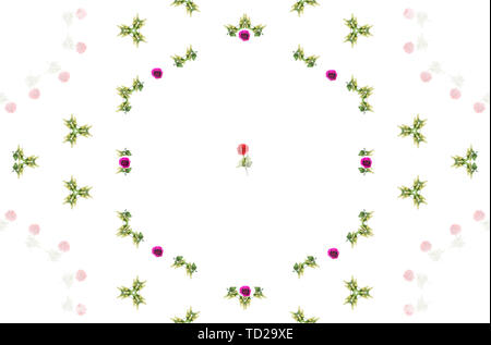 Peinture à l'huile kaléidoscope roses sur fond blanc. Roses rouges et violets pour design textile, de la mode ou de papier peint rétro. Banque D'Images