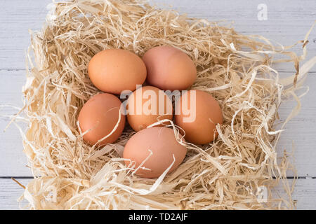 Six Oeufs écossais frais sur un lit de paille de produire de l'Écosse et la promotion des produits laitiers frais pour vivre en santé. Banque D'Images