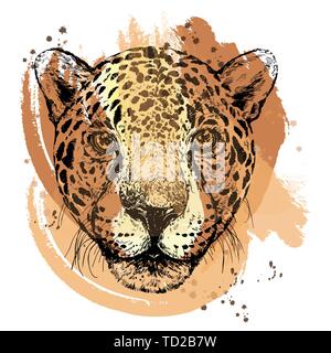 Croquis dessinés à la main de style leopard isolé sur fond blanc. Vector illustration. Illustration de Vecteur
