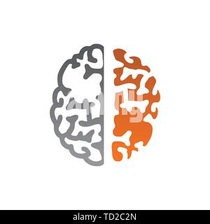 Vecteur conception du cerveau humain avec deux couleurs de tonalité Illustration de Vecteur