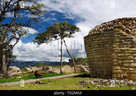 Pérou, Kuelap appariés sur grandeur seulement par le Machu Picchu, cette ville citadelle en ruine dans les montagnes près de Chachapoyas. Banque D'Images