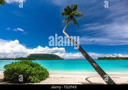 Port incroyable plage de sable d'Orly avec palmiers, l'île d'Espiritu Santo, Vanuatu. Banque D'Images