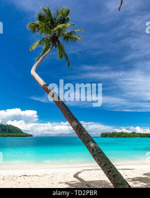 Port incroyable plage de sable d'Orly avec palmiers, l'île d'Espiritu Santo, Vanuatu. Banque D'Images