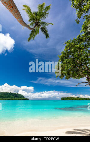 Port incroyable plage de sable d'Orly avec palmiers, l'île d'Espiritu Santo, Vanuatu. Banque D'Images