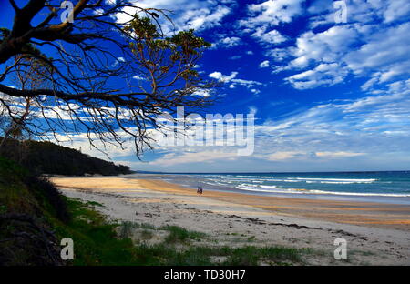Paysage panoramique de, de Woolgoolga beach et plage de Woolgoolga en Nouvelle Galles du Sud, Australie. Les gens qui marchent sur la plage. Banque D'Images