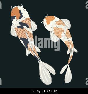 Illustration de deux Veсtor karps Koi avec orange et des taches sombres Illustration de Vecteur