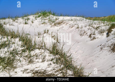 Dunes de sable sur la magnifique plage de la mer du Nord dans la région de Sankt Peter-Ording, Allemagne Banque D'Images