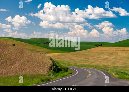 Des collines et des champs de céréales, la Palouse Washington, USA, Banque D'Images