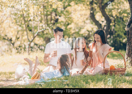 Jeune famille sur un pique-nique dans un parc et s'amusant. Panier avec de délicieux repas, de fruits et de jouets pour les enfants Banque D'Images