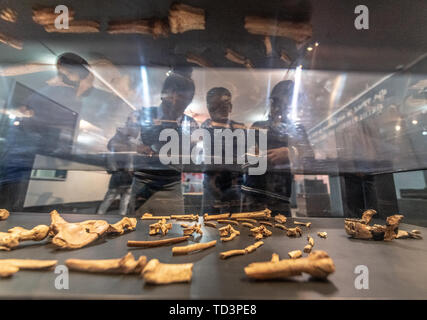 Les étudiants et visiteurs de regarder le reste de l'un des premiers ancêtres humains, Lucy, sur l'affichage dans le Musée National de l'Éthiopie, addi Banque D'Images