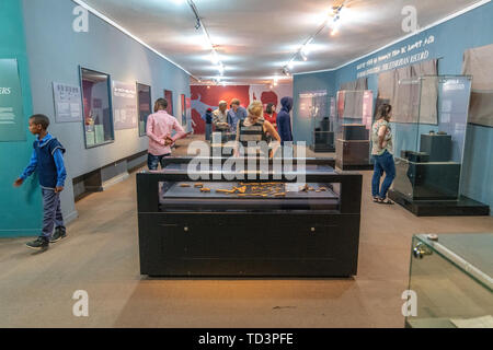 Les vestiges de l'un des premiers ancêtres humains, Lucy, sur l'affichage dans le Musée National de l'Éthiopie, Addis-Abeba, Ethiopie. Banque D'Images