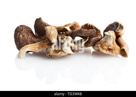 Champignons shiitake séchés isolé sur fond blanc Banque D'Images