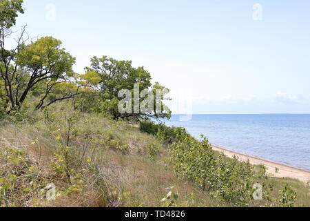 Dune de sable de végétation le long de la côte du lac Huron Banque D'Images