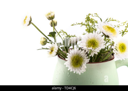 marguerites Banque D'Images