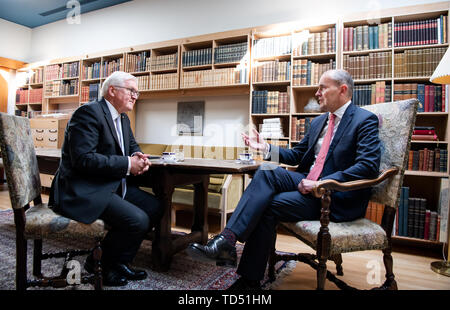 Reykjavik, Islande. 12 Juin, 2019. Président fédéral Frank-Walter Steinmeier et Gudni Thorlacius Johannesson, Président de l'Islande, se réuniront à la résidence du Président pour les pourparlers. Président M. Steinmeier et son épouse sont sur une visite d'Etat de deux jours à l'Islande. Crédit : Bernd von Jutrczenka/dpa/Alamy Live News Banque D'Images