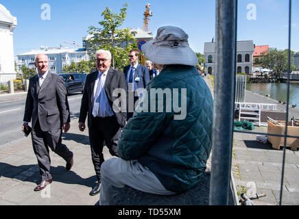 Reykjavik, Islande. 12 Juin, 2019. Le président, Frank-Walter Steinmeier et Herbert Beck (l), l'Ambassadeur d'Allemagne à l'Islande, visitez la maison d'hôtes du gouvernement islandais. Président M. Steinmeier et son épouse sont sur une visite d'Etat de deux jours à l'Islande. Crédit : Bernd von Jutrczenka/dpa/Alamy Live News Banque D'Images