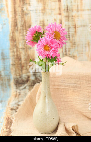 Belles fleurs de chrysanthèmes Banque D'Images